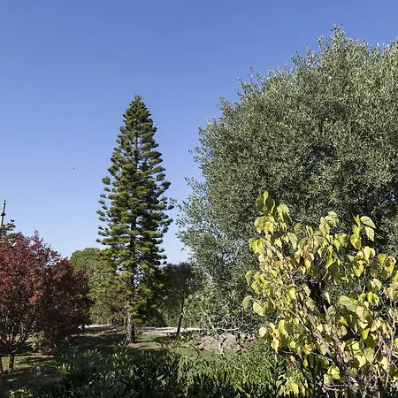 Apartmanhotel Happy Days Capo Vaticano