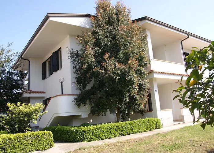 Happy Days Capo Vaticano