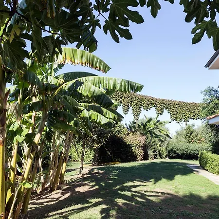 Happy Days Aparthotel 4*