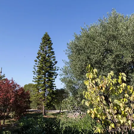 Aparthotel Happy Days Capo Vaticano