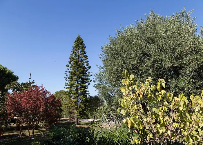 Aparthotel Happy Days Capo Vaticano